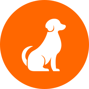 Para Cachorro