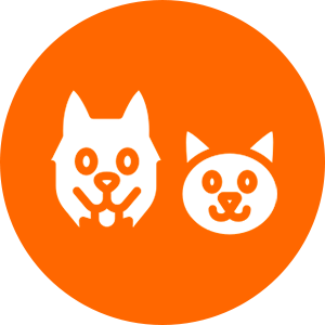 Pets