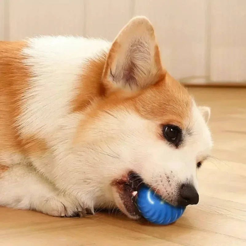 Brinquedo Interativo Inteligente para Cachorros – Bola que Rola e Quica Sozinha