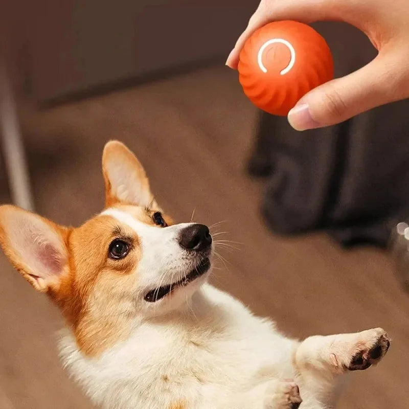 Brinquedo Interativo Inteligente para Cachorros – Bola que Rola e Quica Sozinha